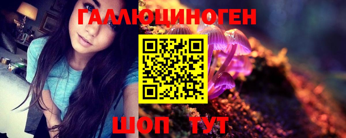 Псилоцибиновые грибы Psilocybine cubensis Новочеркасск
